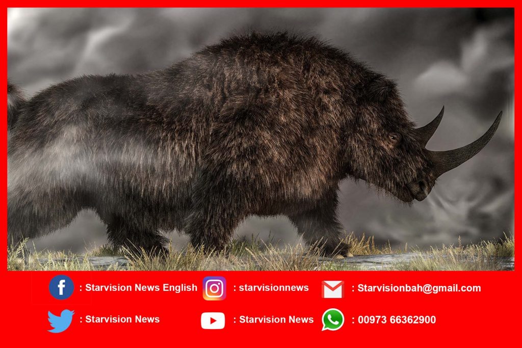 Scientists Extract The Oldest DNA Yet From A 2-Million-Year-Old Rhino Tooth