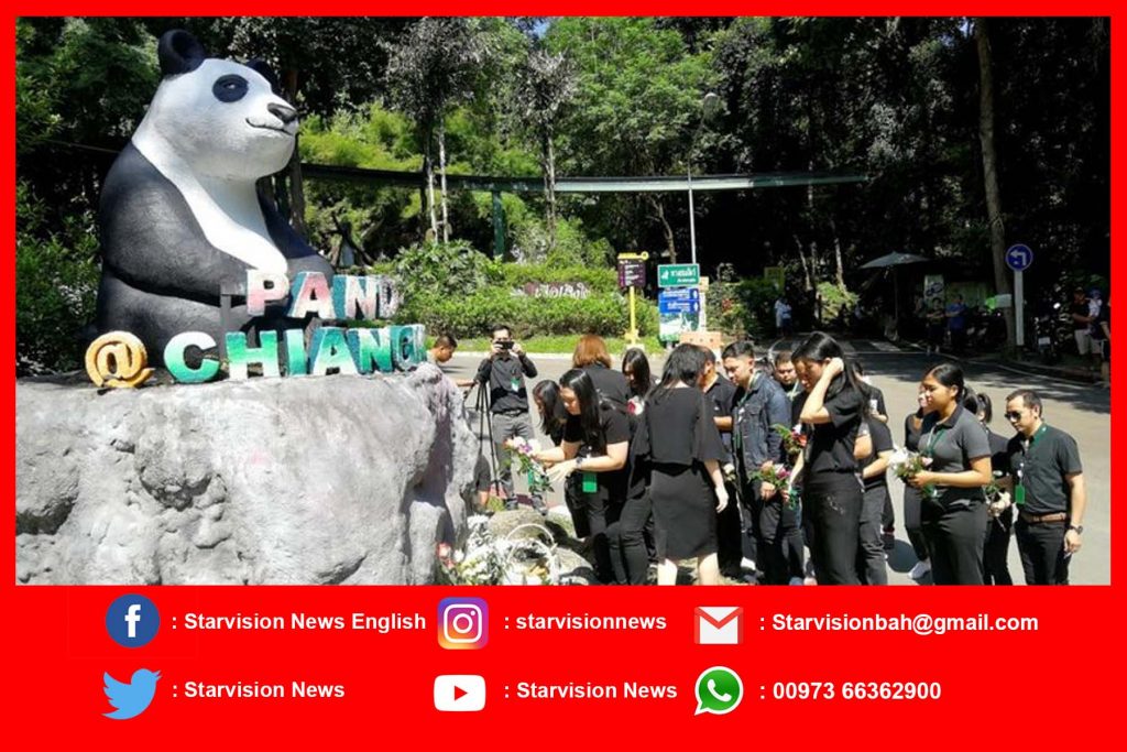 Chinese team in Thailand to probe celebrity panda’s death