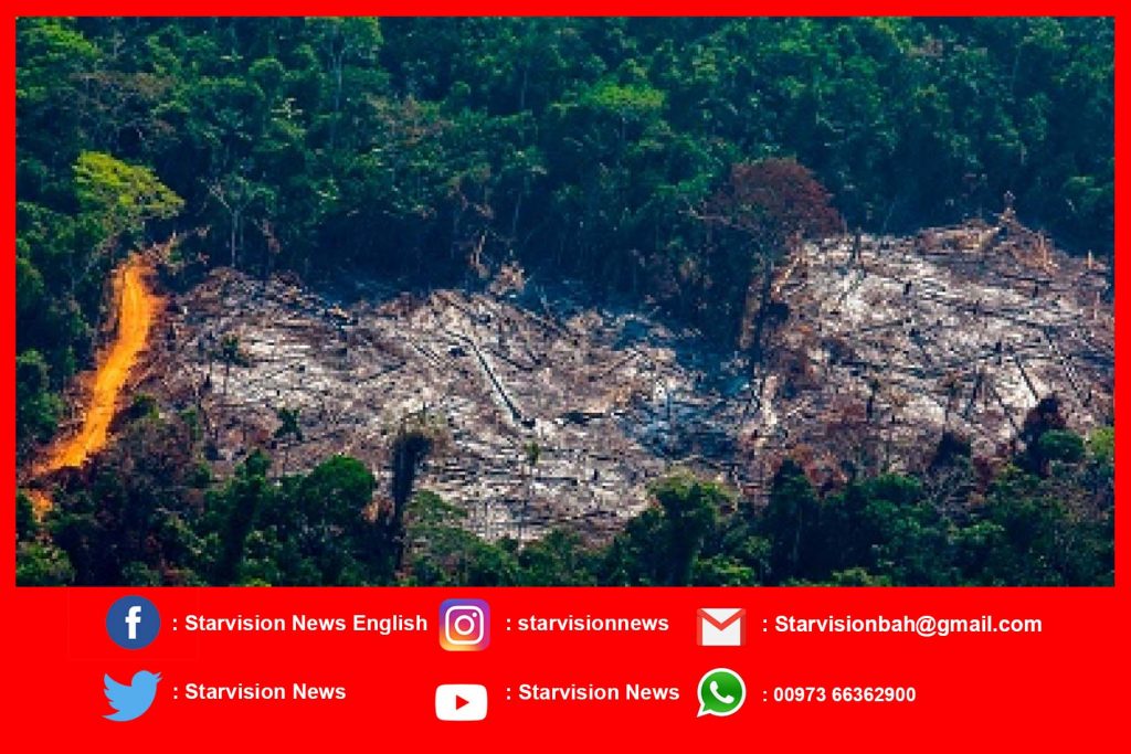 The Amazon, Indonesia, Siberia: A world on fire