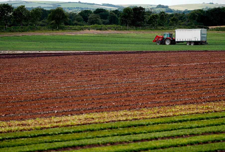 73 workers test positive for COVID-19 on an English farm