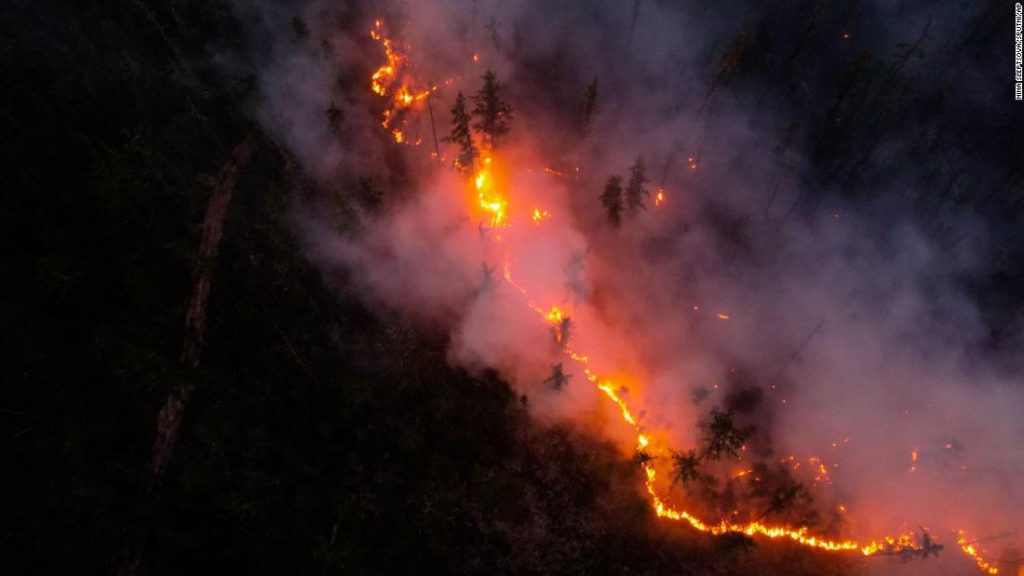 Wildfires have erupted across the globe
