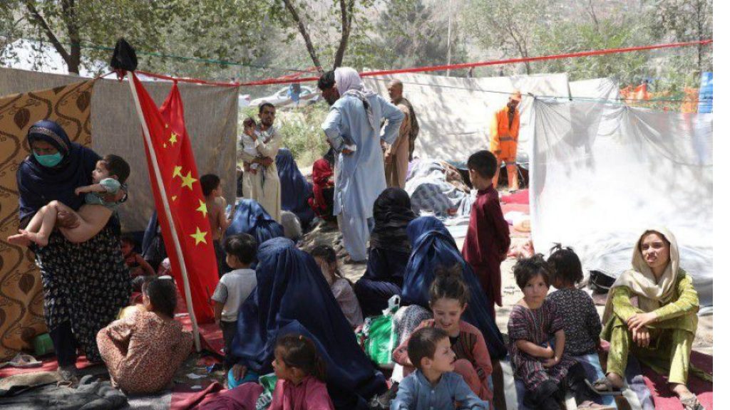 Taliban control 65% of Afghanistan, EU official says, after series of sudden gains