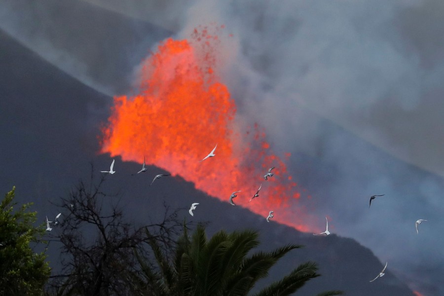 Lava Reaches the Sea on the Island of La Palma