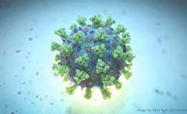 AstraZeneca antibody cocktail succeeds in late-stage study to treat COVID-19