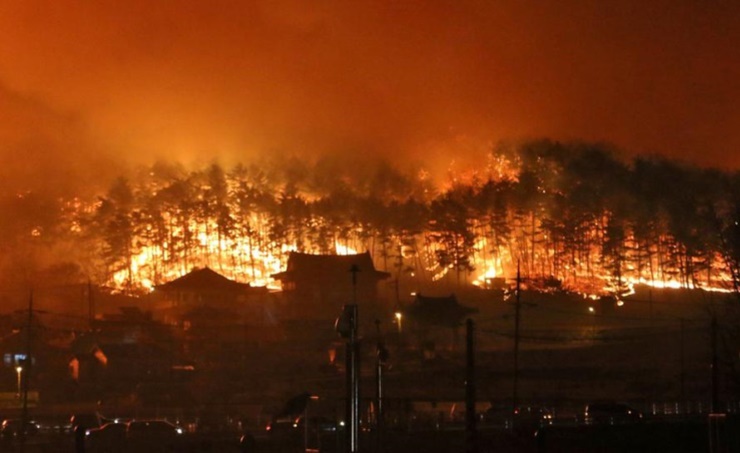 All-out battle under way to extinguish South Korea east coast wildfires