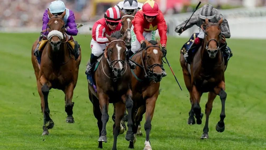 Nasser bin Hamad Expresses Happiness at the Victory of “Bradsell” at the Royal Ascot Festival