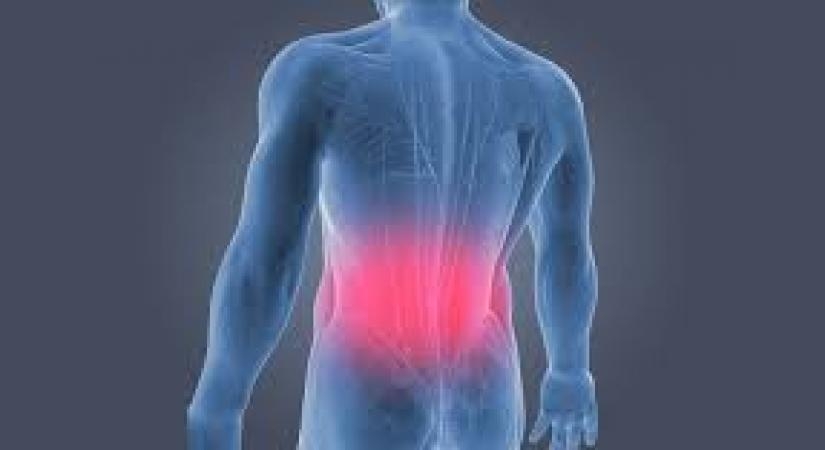 Opioid pain relievers not helpful for back & neck pain, carry misuse risks opioid-pain-relievers-not-helpful-for-back-&-neck-pain,-carry-misuse-risks