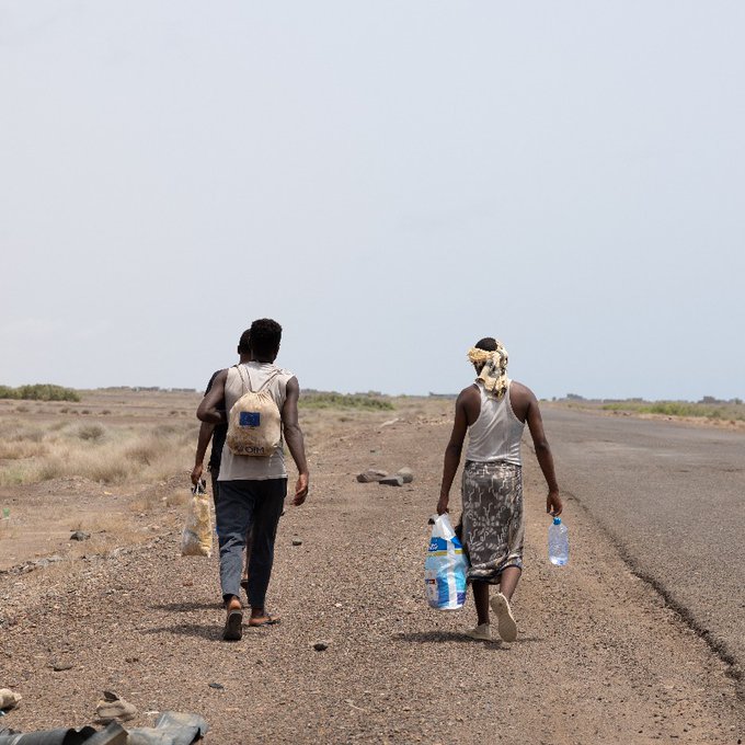 More than 77,000 migrants enter Yemen in H1: IOM more-than-77,000-migrants-enter-yemen-in-h1:-iom