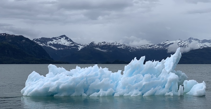 Climate-inaction despite Climate-change-in-action climate-inaction-despite-climate-change-in-action