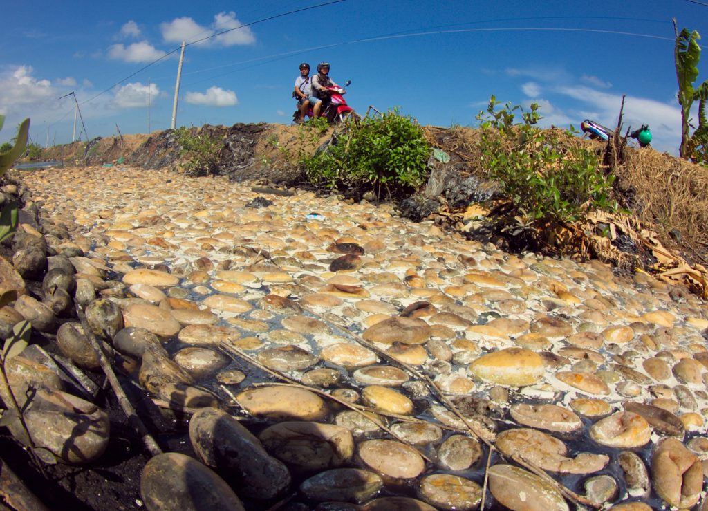 Climate change is out of control, says Guterres climate-change-is-out-of-control,-says-guterres