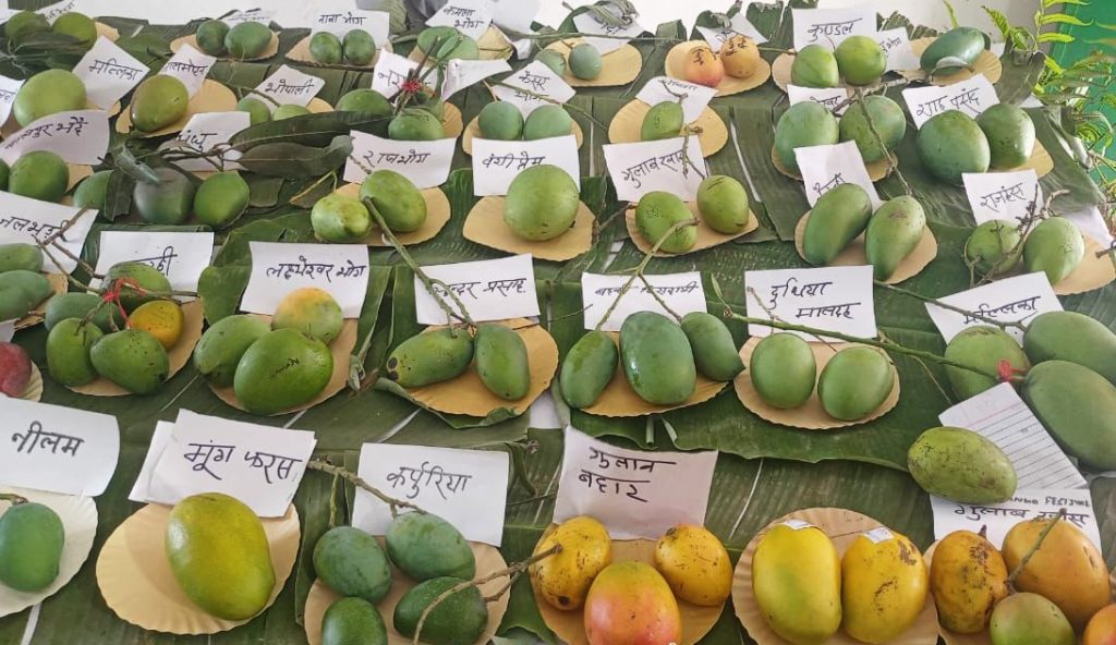 atishi-inaugurates-3-day-mango-festival-in-delhi