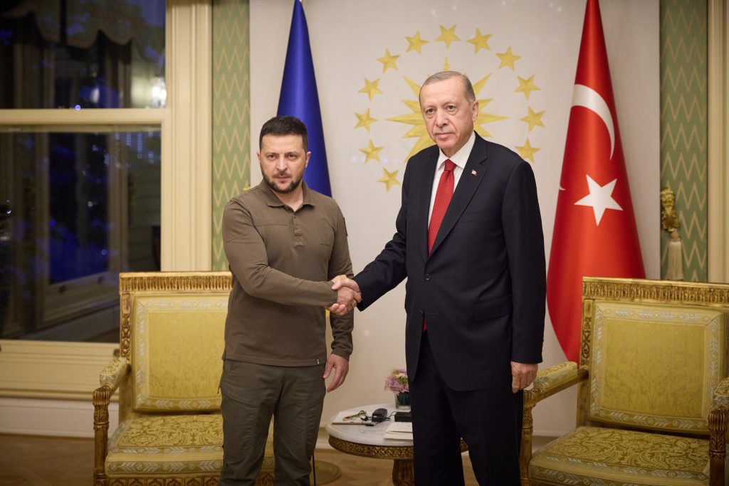 Erdogan, Zelensky hold talks in Istanbul erdogan,-zelensky-hold-talks-in-istanbul