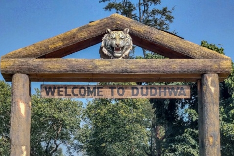 panel-probing-dudhwa-tiger-deaths-submits-report