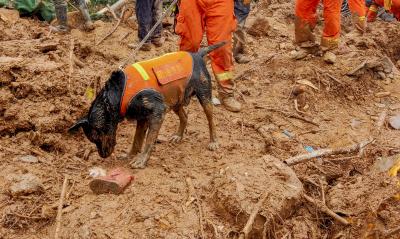 China landslide: 5 rescued, 9 still missing china-landslide:-5-rescued,-9-still-missing