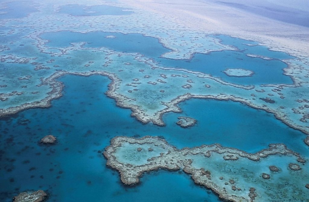 experts-warn-el-nino-threats-australia’s-great-barrier-reef