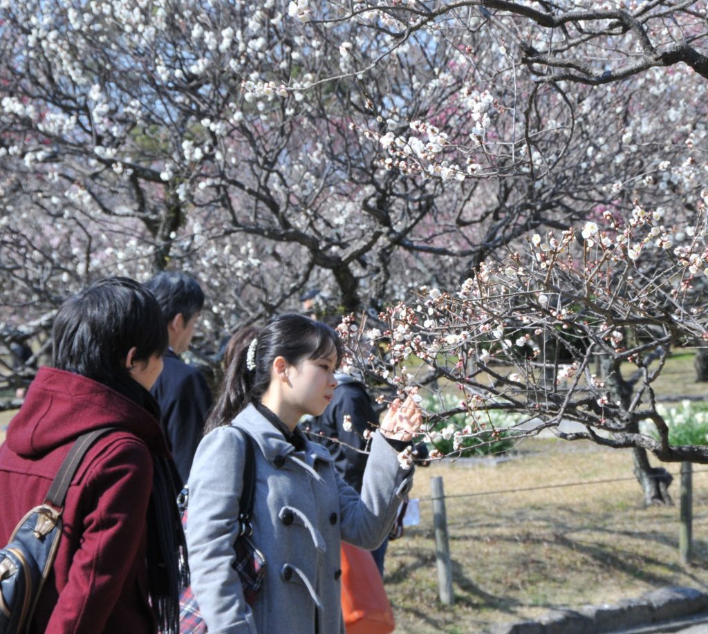 scorching-heat-expected-across-japan-on-wednesday
