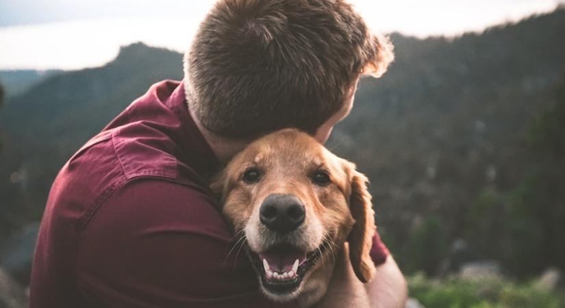 pets-may-not-improve-owners-with-severe-mental-illness:-study