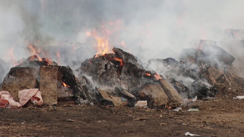 Tripura destroys seized drugs valued at Rs 9.5 crore tripura-destroys-seized-drugs-valued-at-rs-9.5-crore