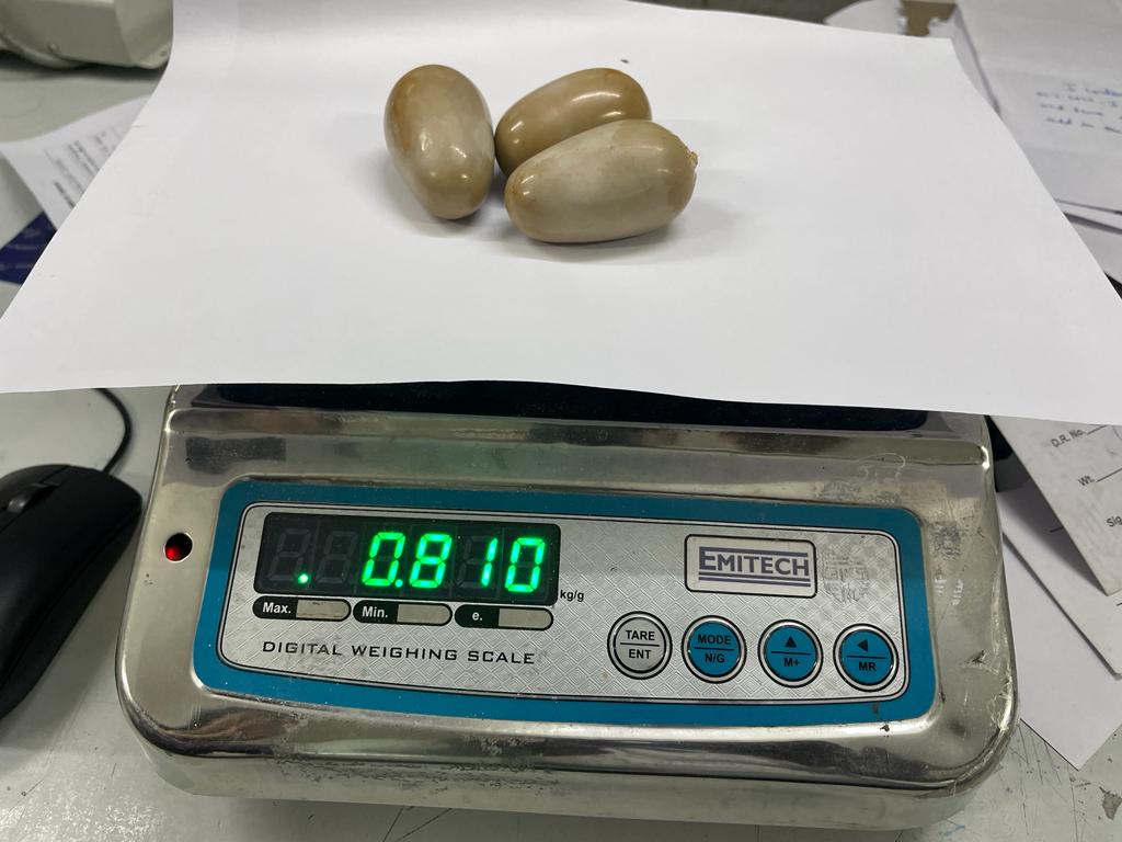 CISF nabs 2 at IGI airport with gold valued at Rs 50L cisf-nabs-2-at-igi-airport-with-gold-valued-at-rs-50l