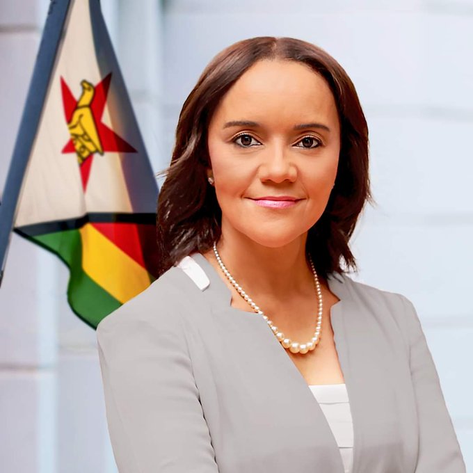 Zimbabwean businesswoman joins race to contest in presidential poll after court intervention zimbabwean-businesswoman-joins-race-to-contest-in-presidential-poll-after-court-intervention