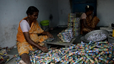 tn-revenue-dept-for-regular-inspections-in-firecracker-shops,-godowns
