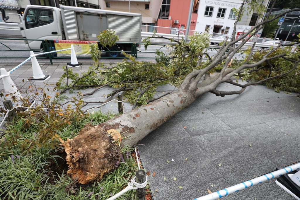 2-dead,-61-injured-as-typhoon-khanun-batters-japan’s-okinawa
