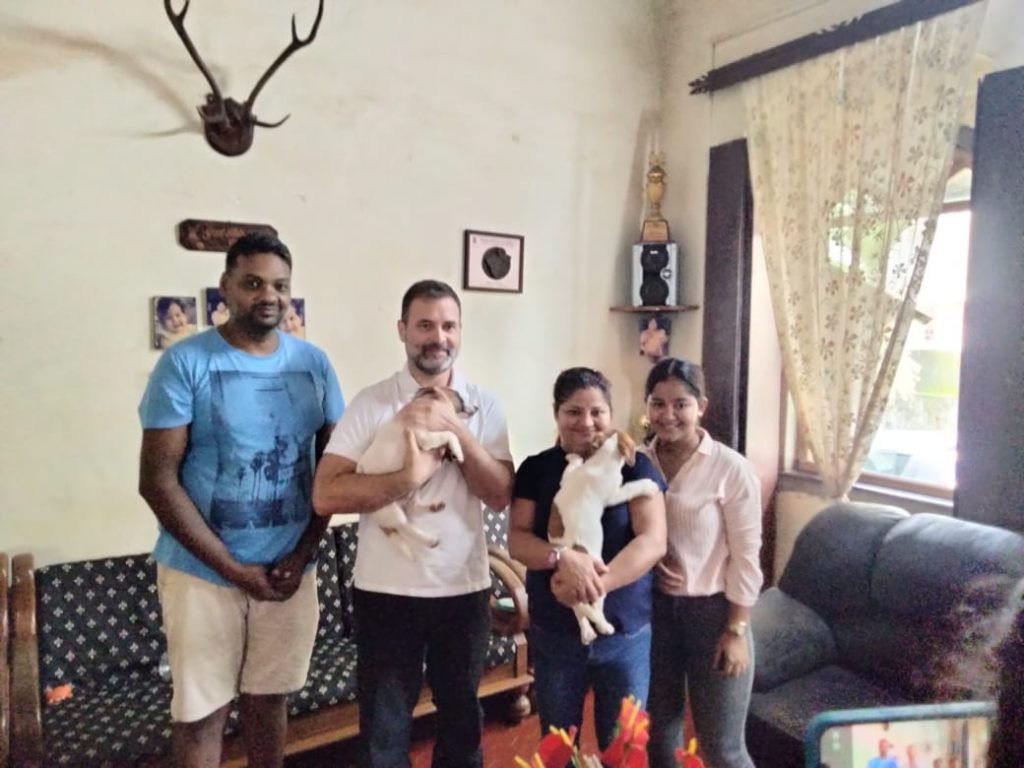 rahul-gandhi-takes-pair-of-jack-russell-terrier-puppies-from-goa