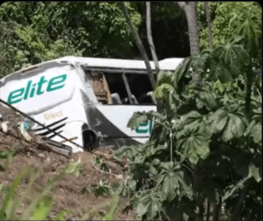 17 dead as bus with 6 Indians onboard plunges into ravine in Mexico: Report (Lead) 17-dead-as-bus-with-6-indians-onboard-plunges-into-ravine-in-mexico:-report-(lead)
