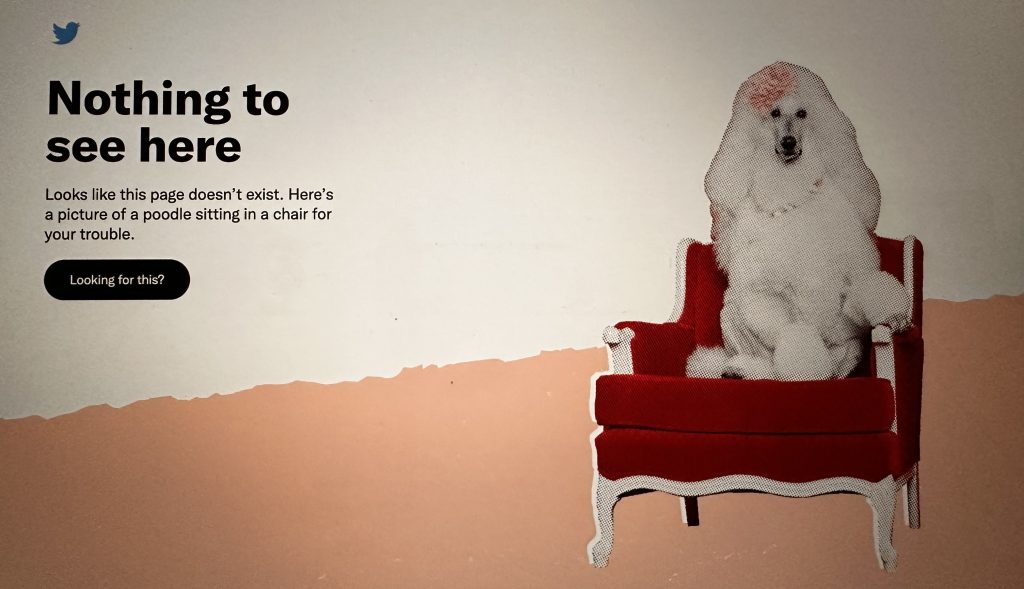 Twitter fails to publish monthly India compliance report, shows poodle sitting in a chair twitter-fails-to-publish-monthly-india-compliance-report,-shows-poodle-sitting-in-a-chair