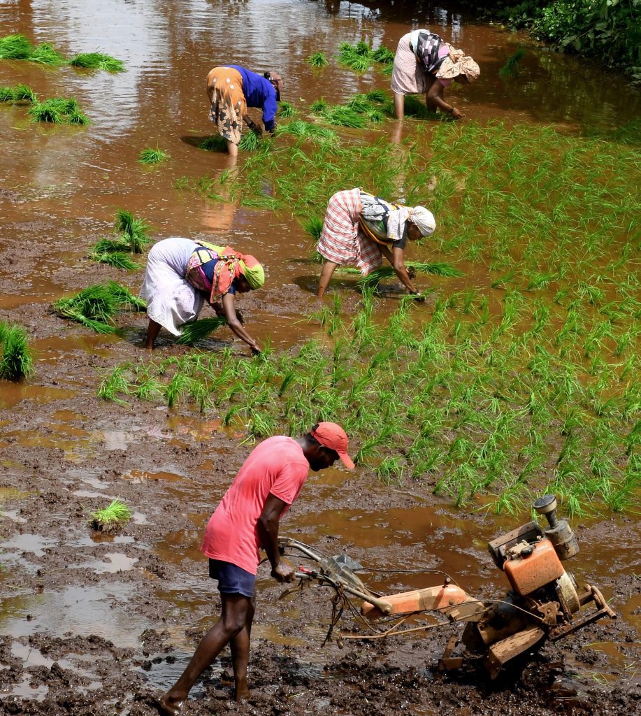Kerala Catholic Bishops Conference to observe Aug 17 as ‘Farmers Deception Day’ kerala-catholic-bishops-conference-to-observe-aug-17-as-‘farmers-deception-day’
