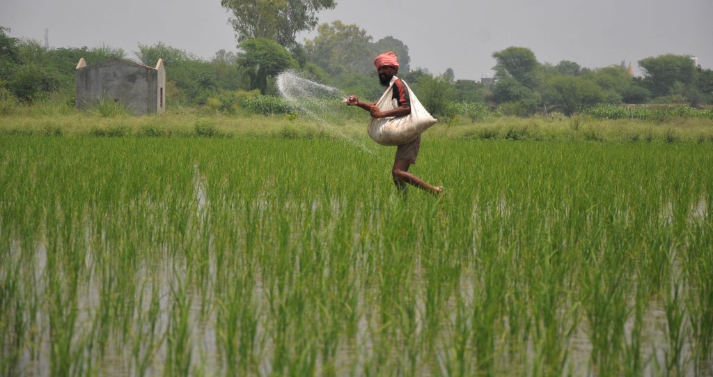 kuruvai-farmers-in-tn’s-delta-districts-worried-over-urea-shortages
