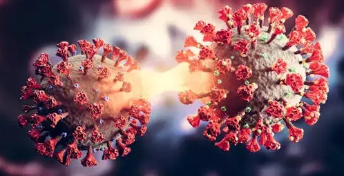 Maha reports first Covid fatality in months; experts monitor Omicron sub-variant situation maha-reports-first-covid-fatality-in-months;-experts-monitor-omicron-sub-variant-situation