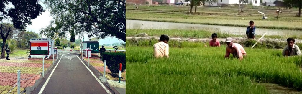 jammu’s-rs-pura-border-thrives-as-peace-revives-prosperity