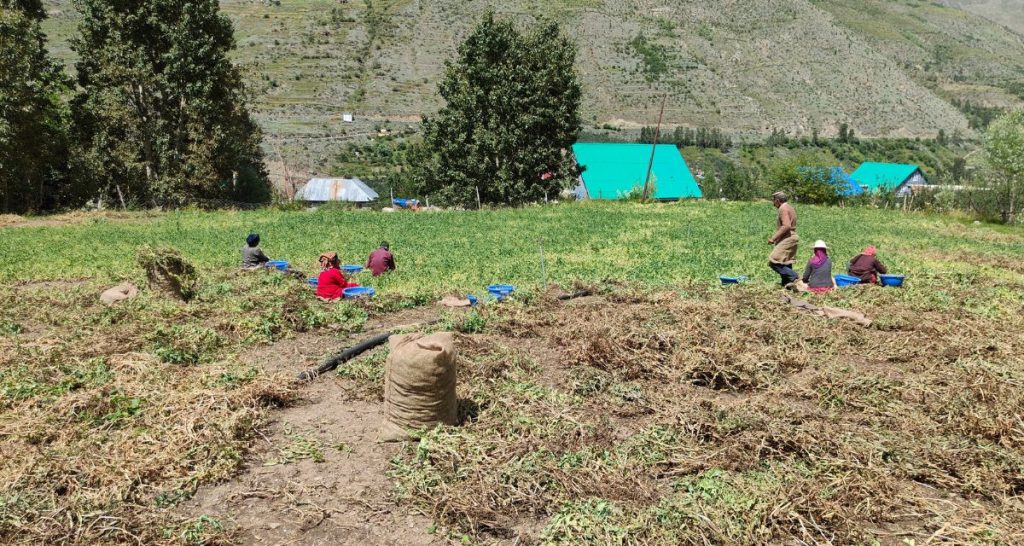 rains-in-lahaul-spiti-wash-away-roads,-farmers-unable-to-take-their-crops-to-market