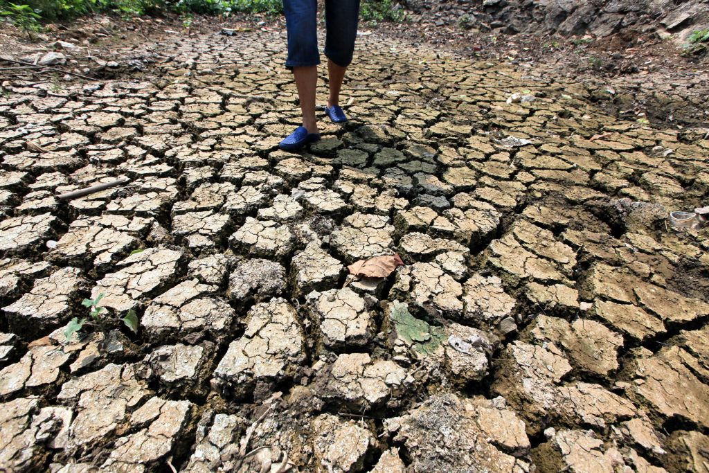 drought-looms-over-kerala-as-august-sees-90%-rain-deficit-in-the-state