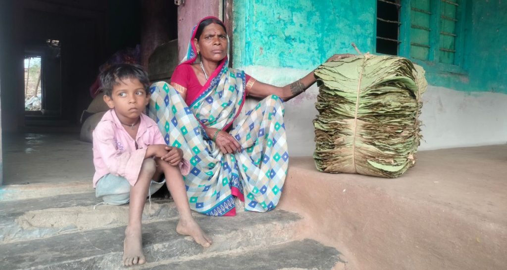 forest-fires-threaten-the-livelihoods-of-dona-pattal-makers-in-betul