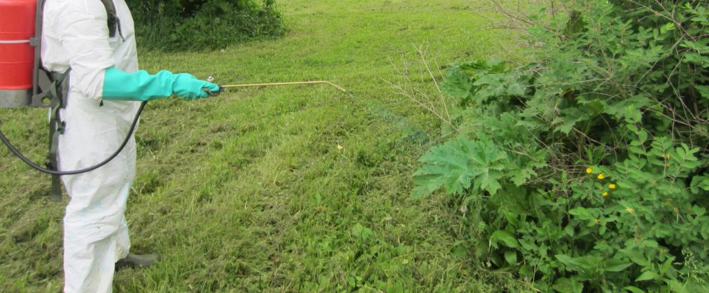 study-shows-common-herbicide-may-affect-male-reproductive-health