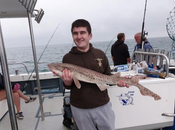 18-yr-old hacked popular GTA game via Amazon Fire TV stick 18-yr-old-hacked-popular-gta-game-via-amazon-fire-tv-stick