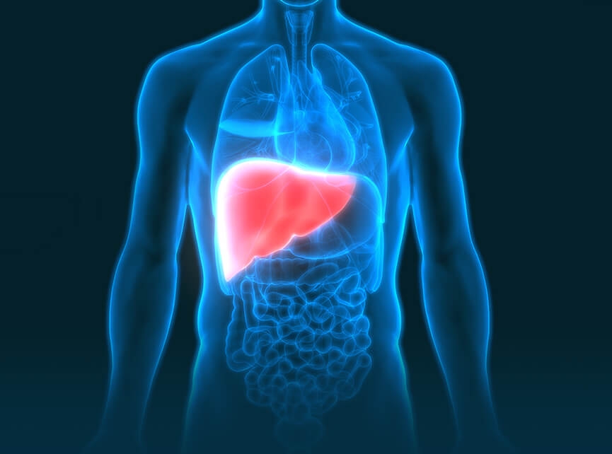 Gene therapy offers potential new treatment for liver cancer gene-therapy-offers-potential-new-treatment-for-liver-cancer