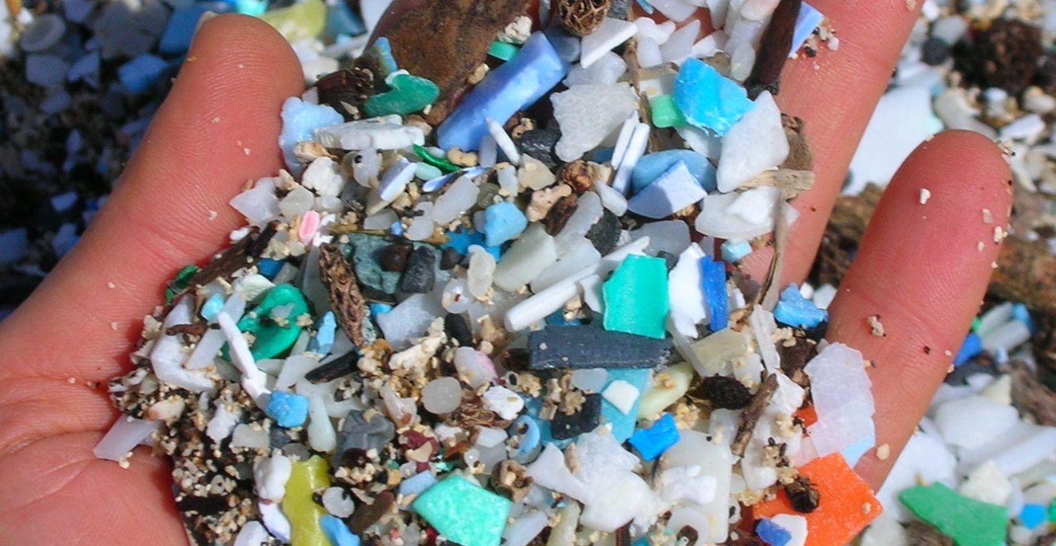 Study Shows Microplastics Can Alter Behaviour, Brain – Starvision News