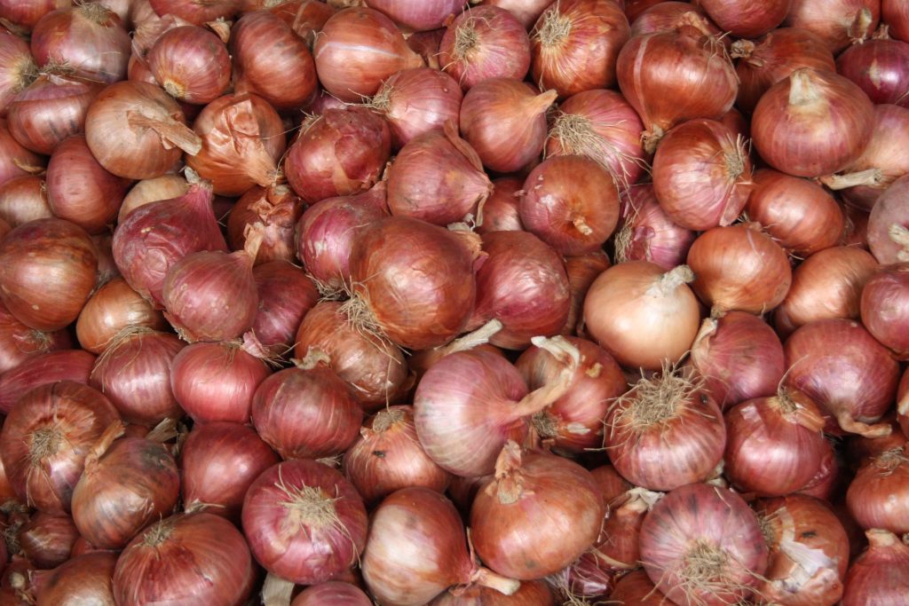 after-tomatoes,-now-onions-set-kitchen-budget-on-fire