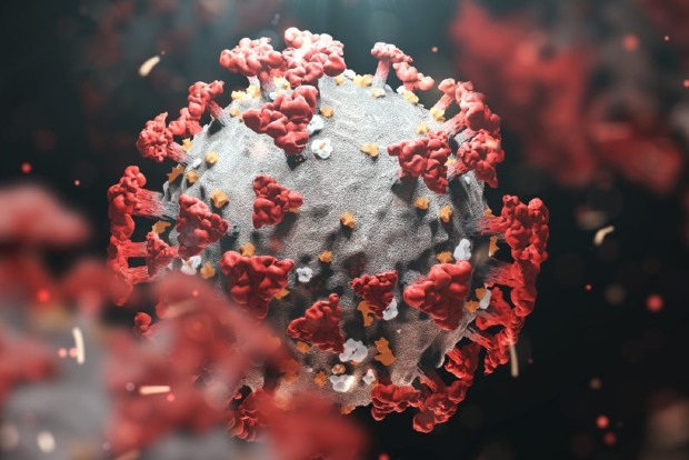 Study explains why Omicron variants continue to spread study-explains-why-omicron-variants-continue-to-spread