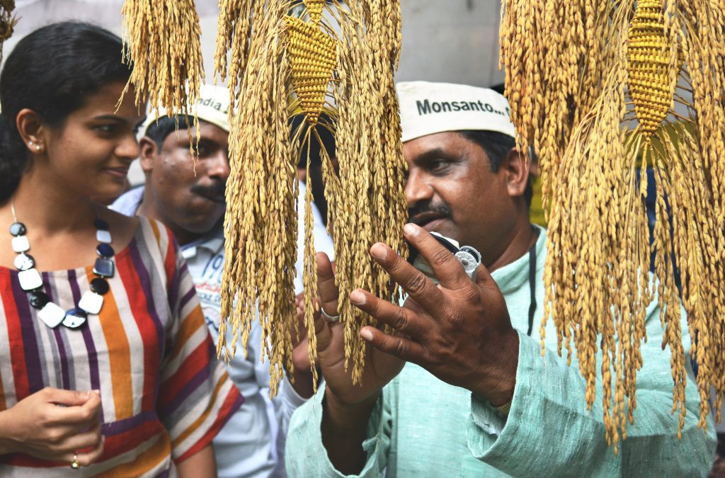 TN Civil Supplies Corporation urges local officials not to buy paddy from middlemen tn-civil-supplies-corporation-urges-local-officials-not-to-buy-paddy-from-middlemen