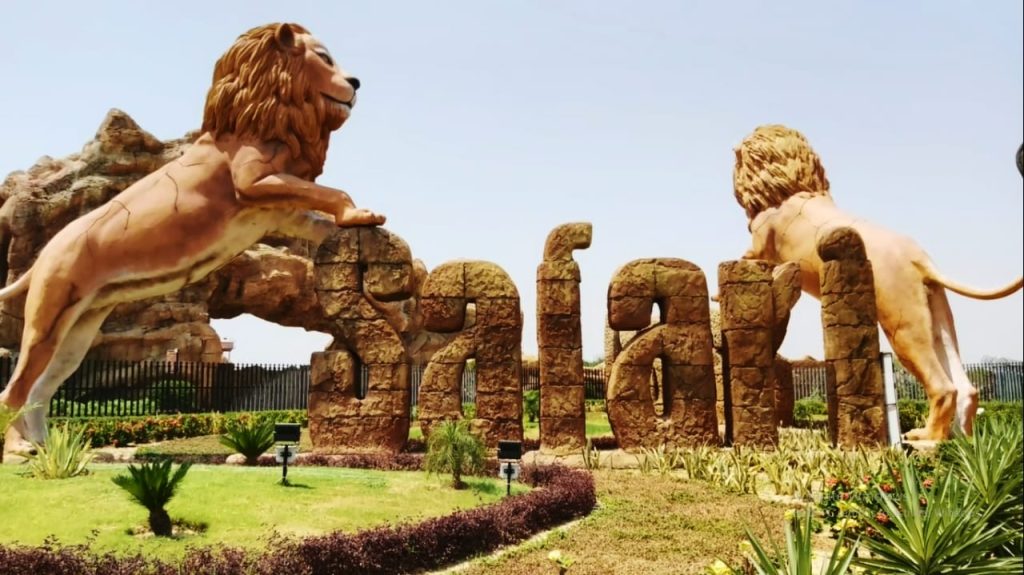 wildlife-experts-baffled-over-nine-deaths-in-etawah-lion-safari