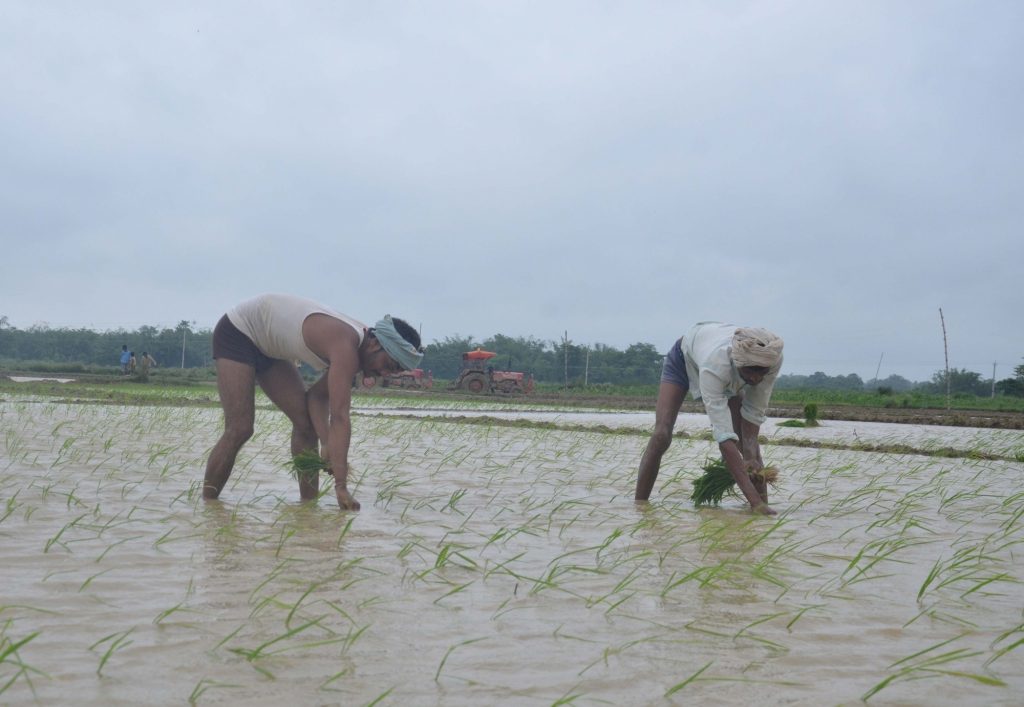 Karnataka Minister says compensation package resulting in more farmers’ suicides karnataka-minister-says-compensation-package-resulting-in-more-farmers’-suicides