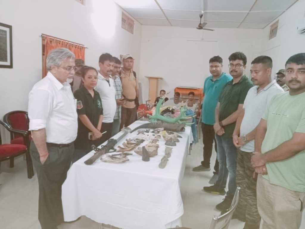 Rhino horn, animal body parts found in Assam; 5 held rhino-horn,-animal-body-parts-found-in-assam;-5-held