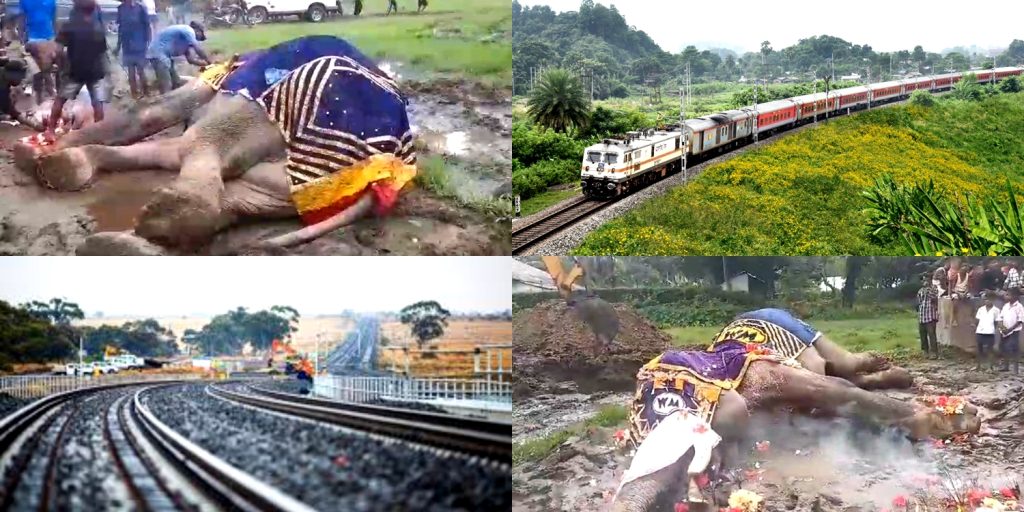 Rlys introduces AI-based surveillance in elephant corridors to avert mishaps rlys-introduces-ai-based-surveillance-in-elephant-corridors-to-avert-mishaps