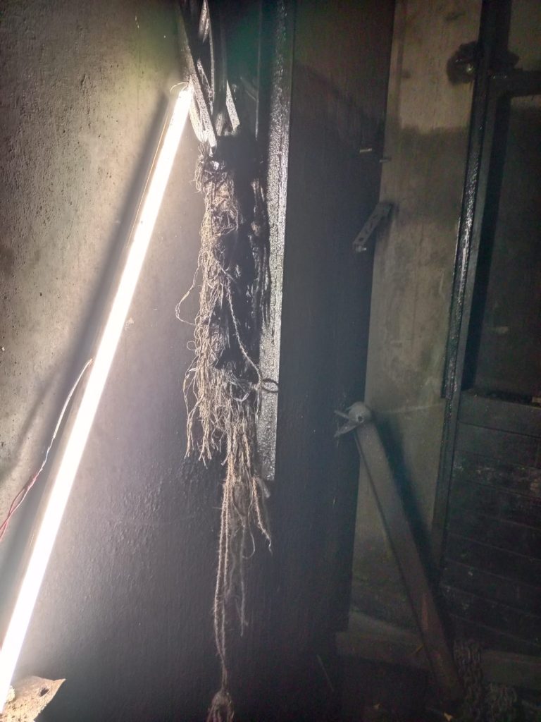 6-killed-as-service-lift-crashes-in-40-storied-thane-building-(lead)