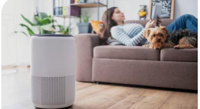 5 ways to improve indoor air quality for a healthier living 5-ways-to-improve-indoor-air-quality-for-a-healthier-living