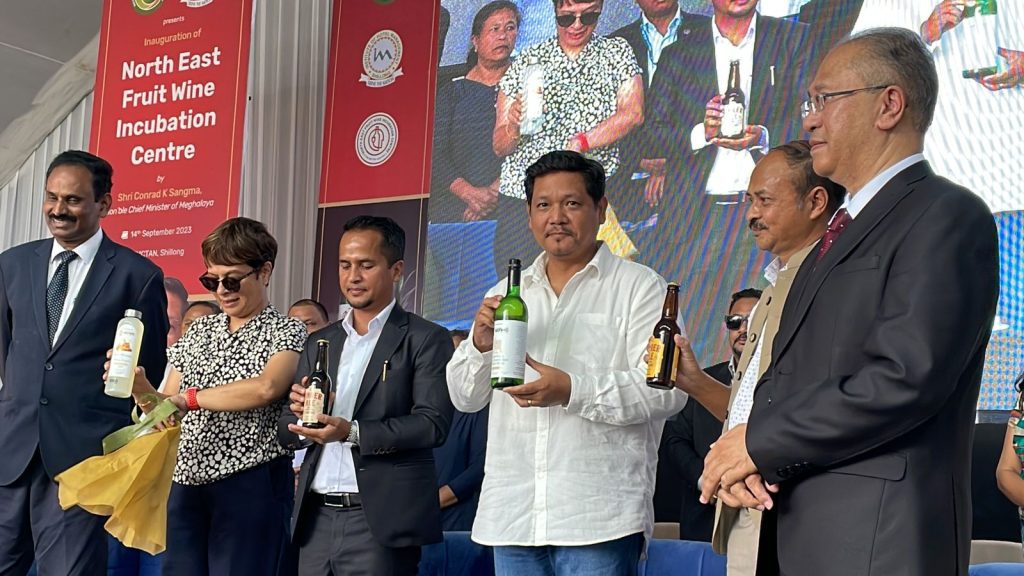 meghalaya-govt-to-promote-wine-industry-to-boost-tourism,-entrepreneurship:-cm-sangma